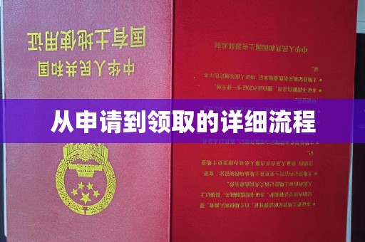 南沙从申请到领取的详细流程