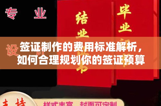 南沙签证制作的费用标准解析，如何合理规划你的签证预算