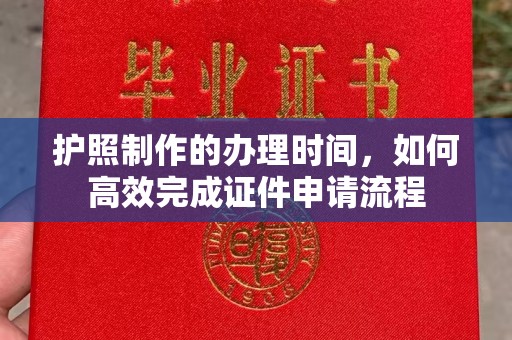 南沙护照制作的办理时间，如何高效完成证件申请流程