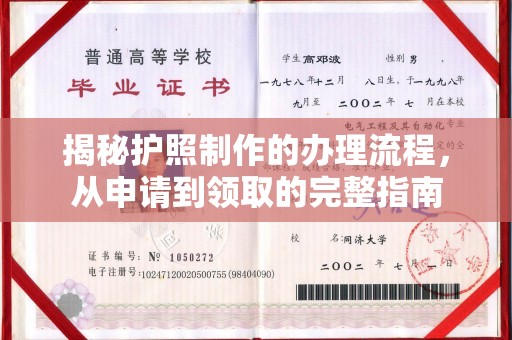 南沙揭秘护照制作的办理流程，从申请到领取的完整指南
