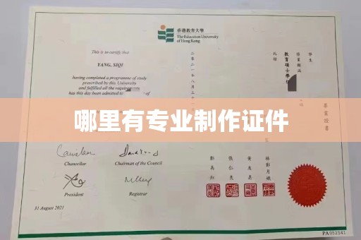 南沙哪里有专业制作证件