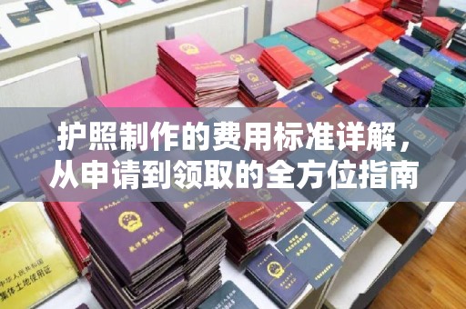 南沙护照制作的费用标准详解，从申请到领取的全方位指南
