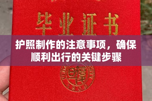 南沙护照制作的注意事项，确保顺利出行的关键步骤