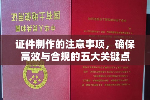 南沙证件制作的注意事项，确保高效与合规的五大关键点