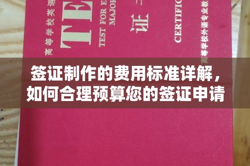 南沙签证制作的费用标准详解，如何合理预算您的签证申请成本